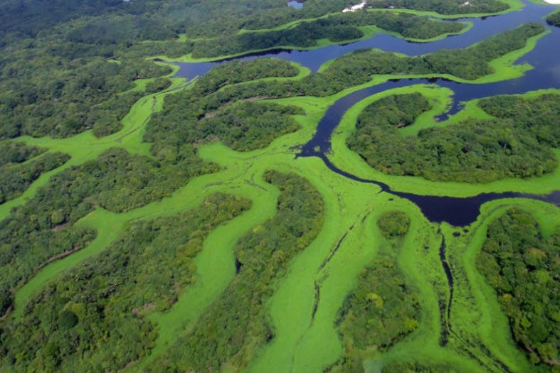 Anavilhanas National Park